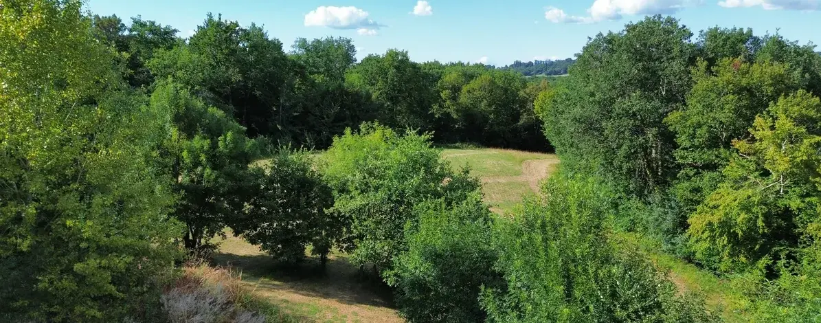 deCogan Executive Coaching - Countryside