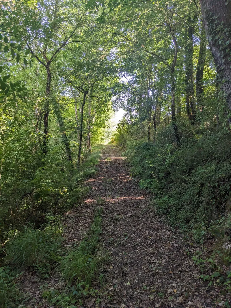 The End of River Path