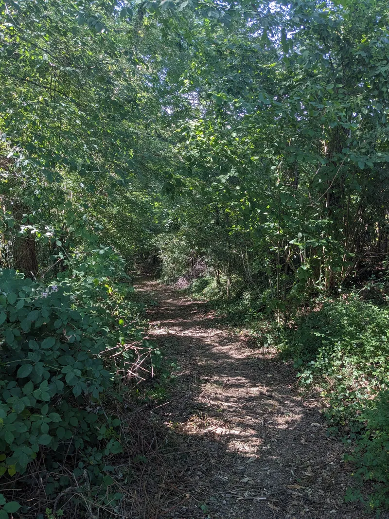 The Hazel Way