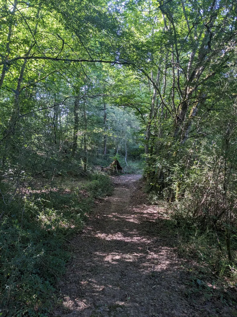 The Hazel Way 2