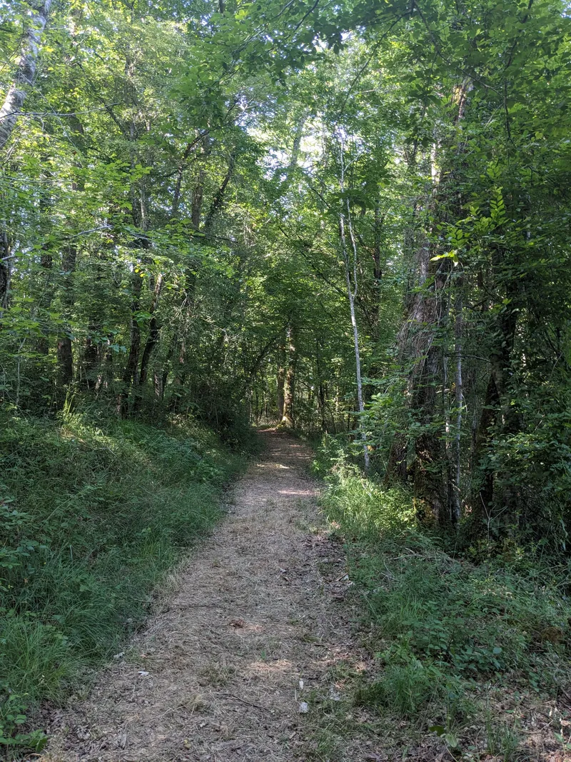 The Hazel Way 3