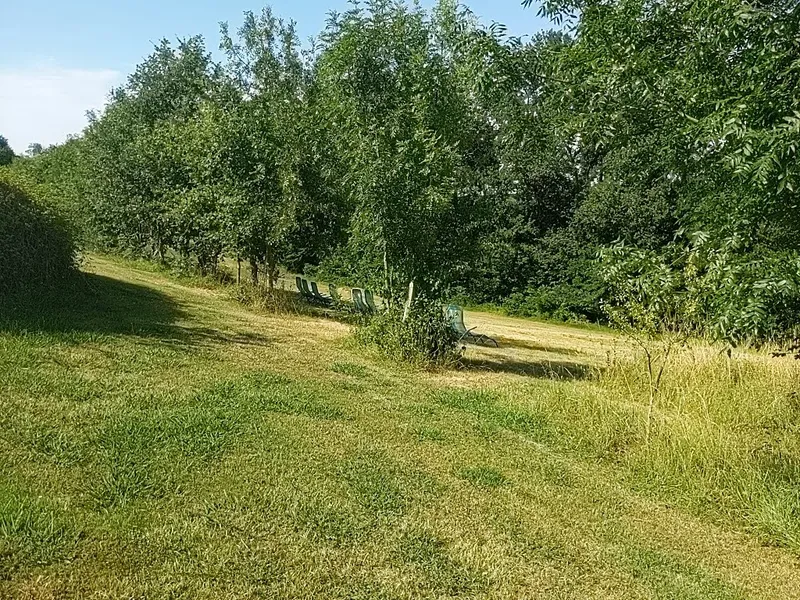 The Loungers in the Shade