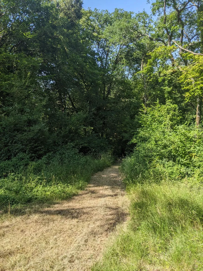The Meadow Path by Lodge