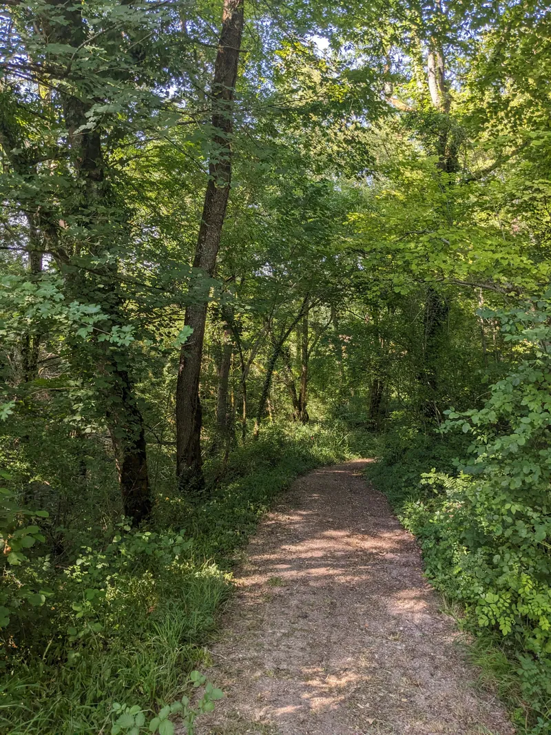 The Meadow Path by Lodge 2