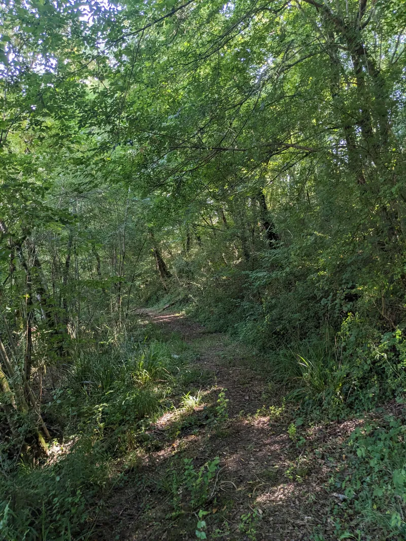 The River Path