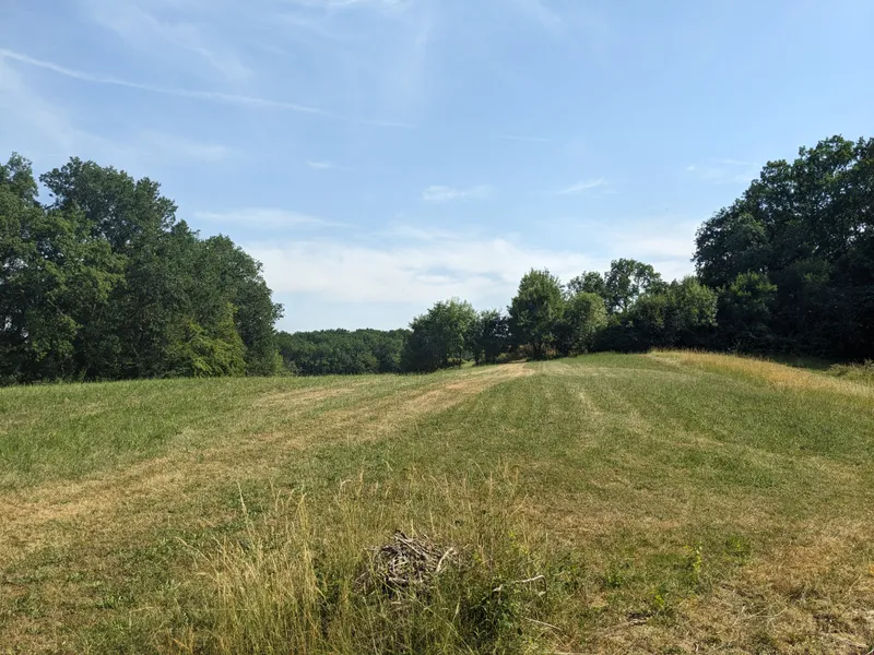 The Meadow