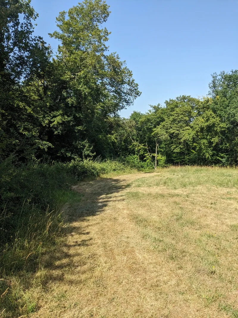 The Meadow 2