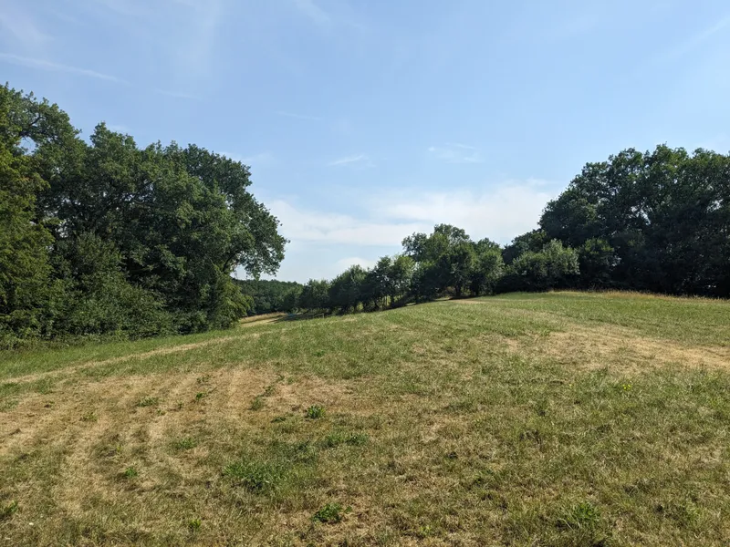 The Meadow 3
