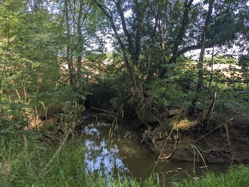 The River