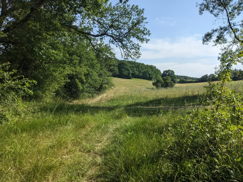 Gascon Countryside