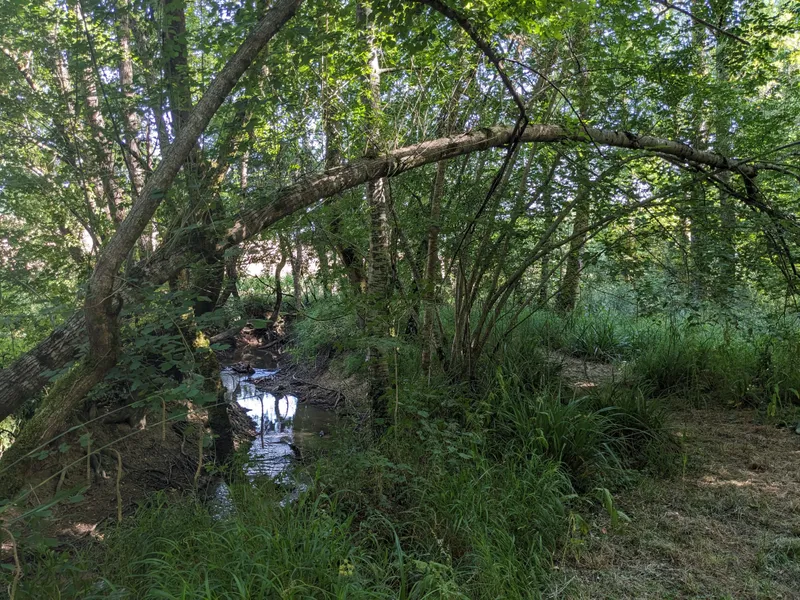 The Winding River
