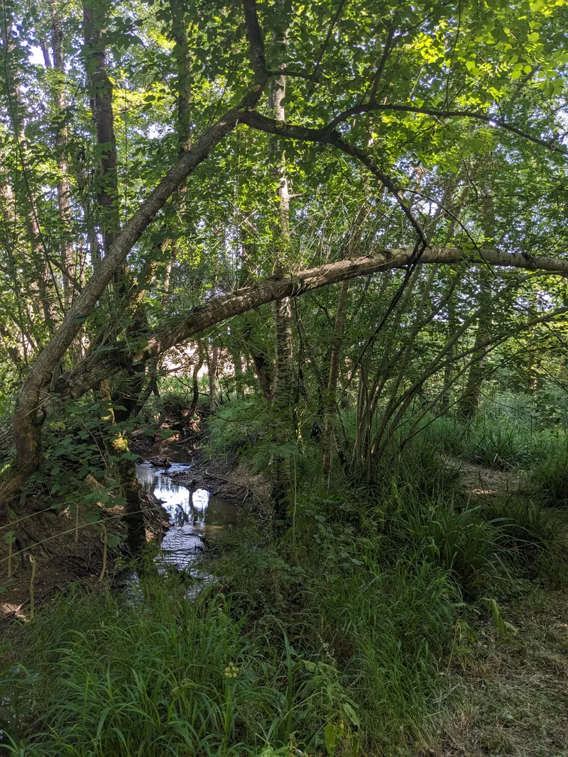 The Winding River 2